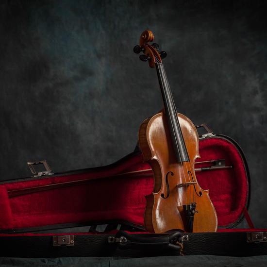 IES_RAMIRODEMAEZTU_MUSICA_010