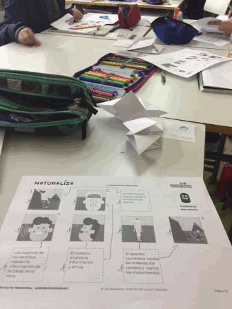 2018_10_10_Grabación para La aventura de Saber_Proyecto Naturaliza_CEIP FDLR_Las Rozas 5