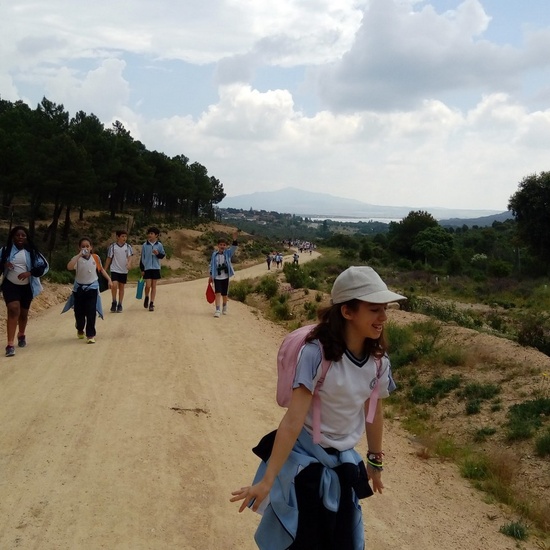 Camino de Santiago 21