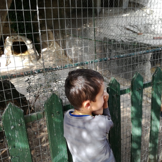 Infantil en la granja 18