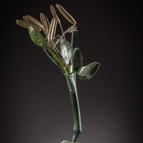 IES_ISABELLACATOLICA_BIOLOGIA_091