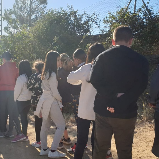 CONVIVENCIAS 6º - 2019 9