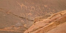 Inscripciones antiguas sobre rocas en el desierto de Wadi Rum, J