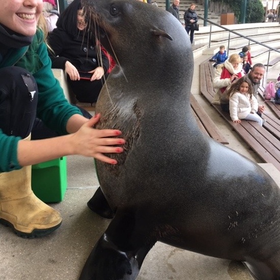 Parque de la Naturaleza. Faunia. 5º Curso. 22