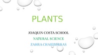 Plants