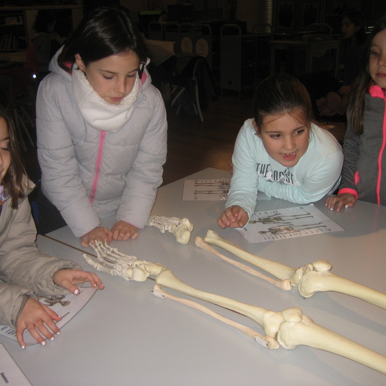 VISITA AL MUSE DE CIENCIAS 3ºA 19