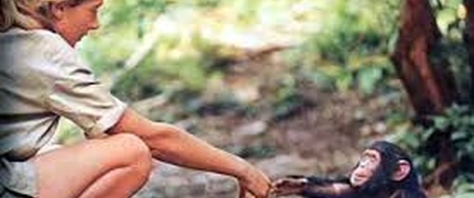Jane Goodall