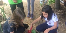 2019_05_Los alumnos de 4º en el Huerto_CEIP FDLR_Las Rozas 4