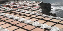 Salinas en La Palma