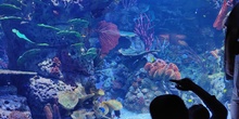 FOTOS AQUARIUM 1 25