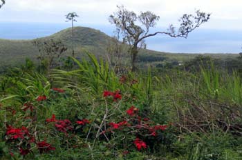 Paisaje de la Isla San Cristóbal, Ecuador