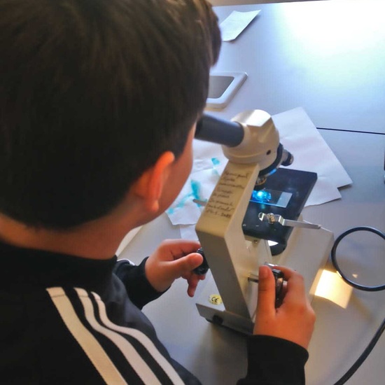 PW 6º IES PARQUE LISBOA 2019-2020 13