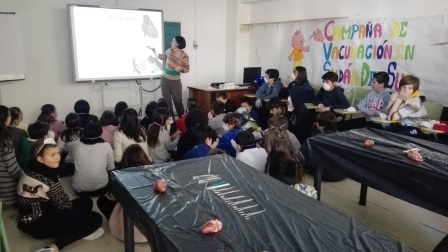 2018_02_09_DISECCION CORAZON Y PULMONES_SEXTO_CEIP FDLR_LAS ROZAS 2