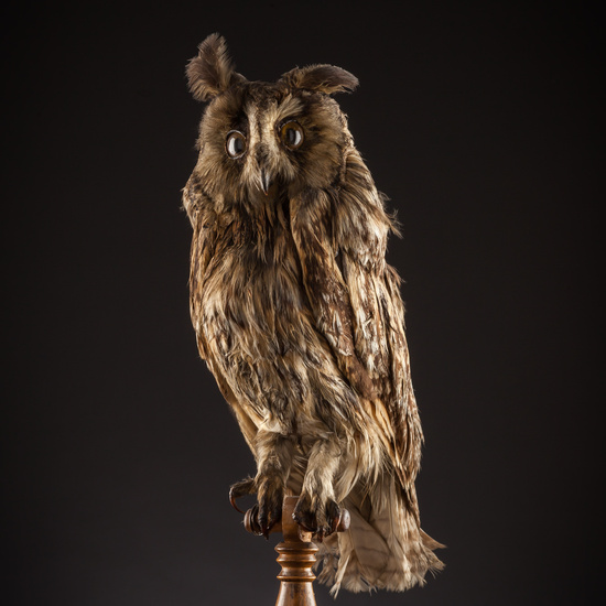 IES_SANISIDRO_BIOLOGIA_416