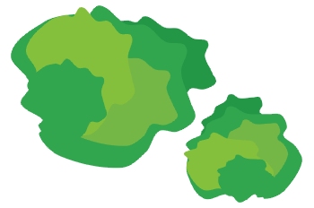 árboles, vista cenital