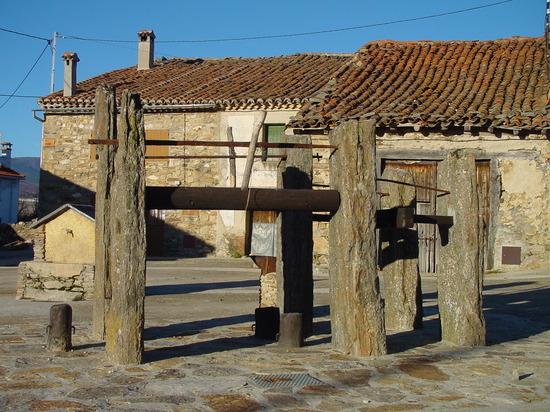 Potro en Prádena del Rincón