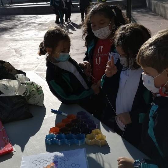 Hotel de insectos 24