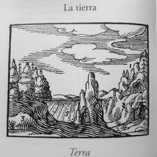 VIII TERRA