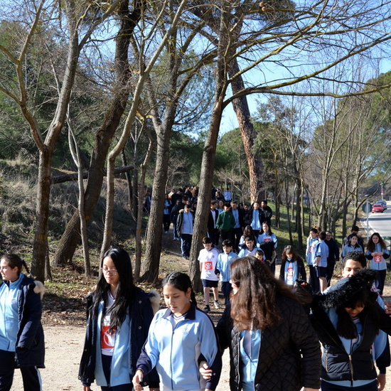 DÍA DE LA PAZ 2018_3 13