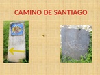 CAMINO DE SANTIAGO