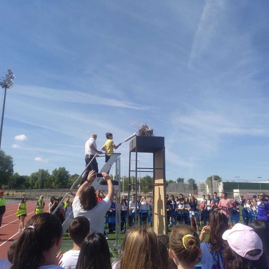 IV Olimpiadas escolares Alcorcón 11