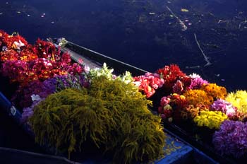 Barcas de transporte de flores en el lago Dal de Srinagar, Jammu