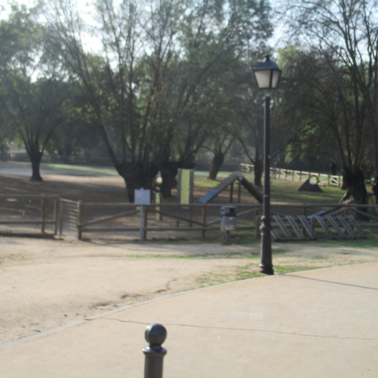 EN MÚLTIPLE 6º - 2019 4