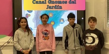CANAL GNOMOS DEL JARDÍN