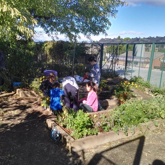 2019_05_El huerto del cole no para...CEIP FDLR_Las Rozas 17