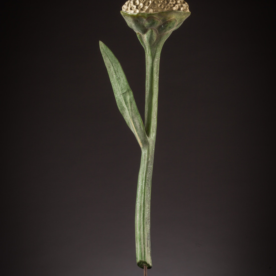 IES_ISABELLACATOLICA_BIOLOGIA_040