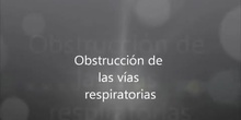 Obstrucción de las vías respiratorias