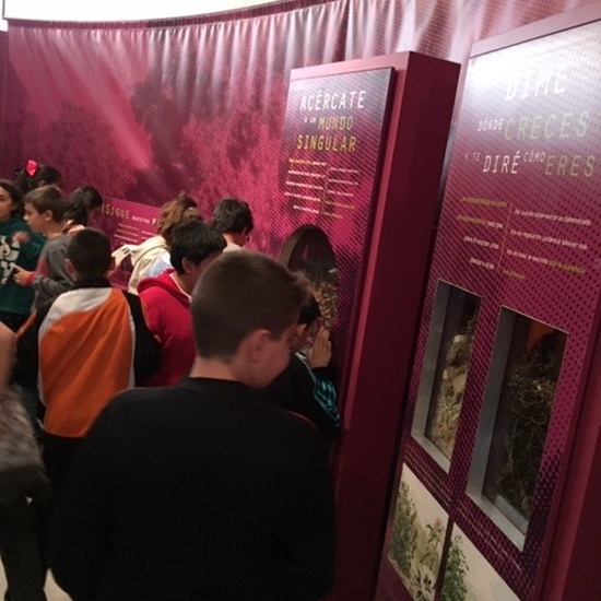 Centro de Interpretación de la Naturaleza. Montecarmelo. 6º curso. 8