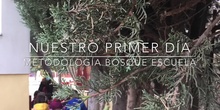 INFANTIL - 3-4 AÑOS A - BOSQUE ESCUELA - ACTIVIDADES