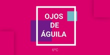SEXTO C OJOS DE ÁGUILA RESIDUOS 0 