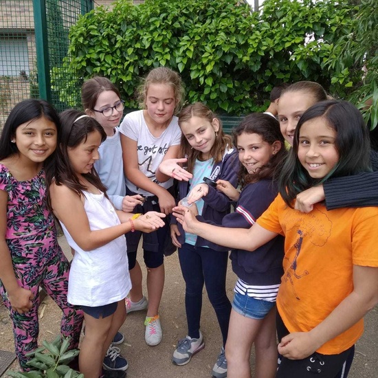 2019_06_07_Los alumnos de Quinto observan los insectos del huerto_CEIP FDLR_Las Rozas 22