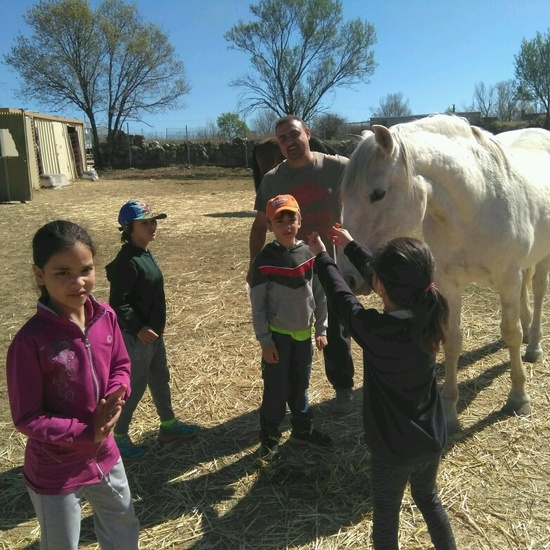 SALIDA NATURALEZA 26