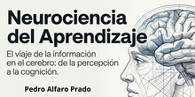 NEUROCIENCIA APLICADA A LA EDUCACIÓN