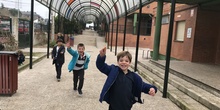 2018_12_05_1º Y 2º TRABAJAN LA BIODIVERSIDAD_PROYECTO THE GREAT PLANT HUNT_CEIP FDLR_Las Rozas 2