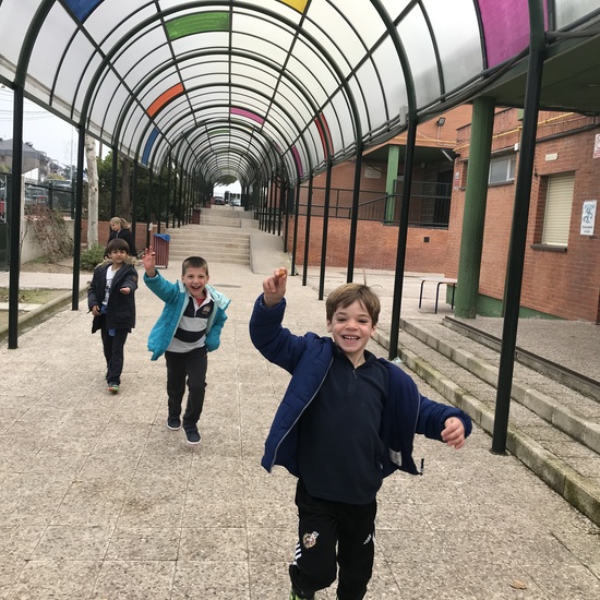 2018_12_05_1º Y 2º TRABAJAN LA BIODIVERSIDAD_PROYECTO THE GREAT PLANT HUNT_CEIP FDLR_Las Rozas 2