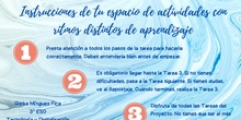 Instrucciones T5 Canva