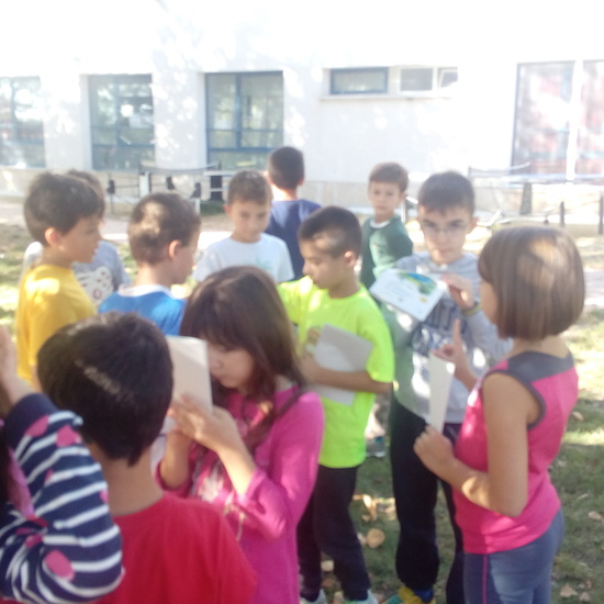 GRANJA SEPTIMA PARTE 36