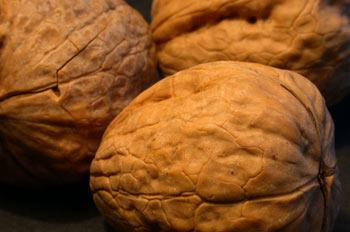 Nueces