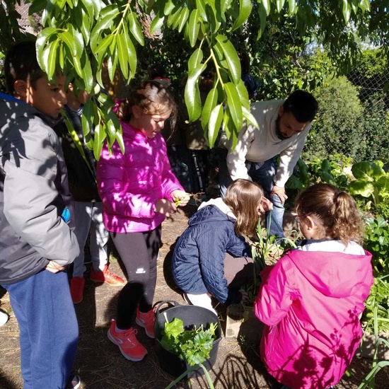 2019_05_06_Quinto en el huerto en mayo_CEIP FDLR_Las Rozas 5
