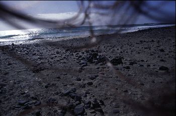 Playa, Fuerteventura, Canarias