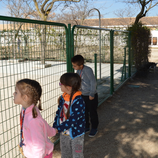 GRANJA ESCUELA ALBITANA 2018 2