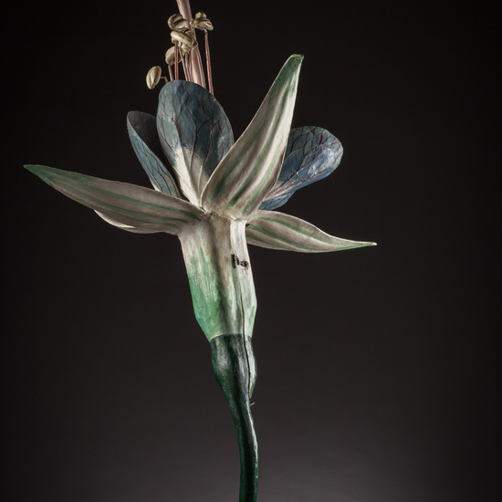 IES_ISABELLACATOLICA_BIOLOGIA_111