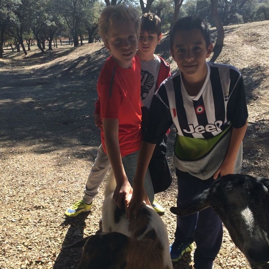 Mohernando 2017_3 50