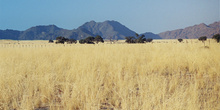 Montañas de Brandberg, Namibia