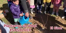28049407 PLANTAMOS UN MANZANO  #SOSOLVER INFANTIL 3 AÑOS