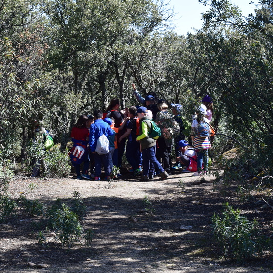 Sendero Vivo 3º Primaria 2018 17